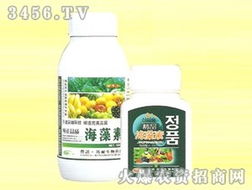 山東諾邦生物安丘有機肥料廠產品代理商張輝拓展安徽市場，共推生物肥料新篇章