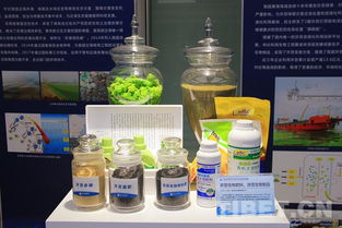 海洋試點國家實驗室 問海十八載，為強國戰略注入海洋科研不竭動力
