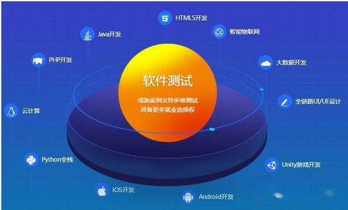 建立高效的軟件測試管理體系 技術(shù)推廣與實施指南