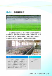 噴微灌技術(shù)推廣應用宣傳冊
