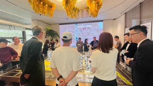 杭州房產(chǎn)新政引發(fā)購房咨詢井噴，分析師預(yù)測二手房庫存將增加